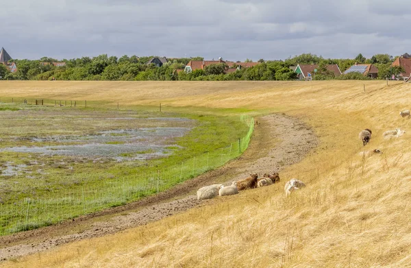 Spiekeroog in East Frisia — 스톡 사진