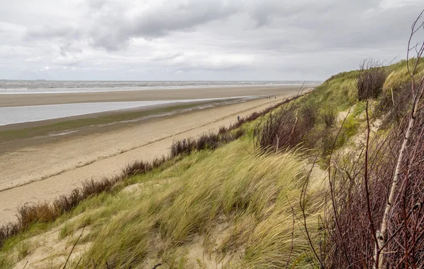 Paisaje de playa en Spiekeroog —  Fotos de Stock