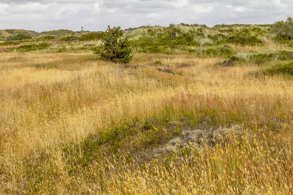 Spiekeroog ve východní Frisii — Stock fotografie