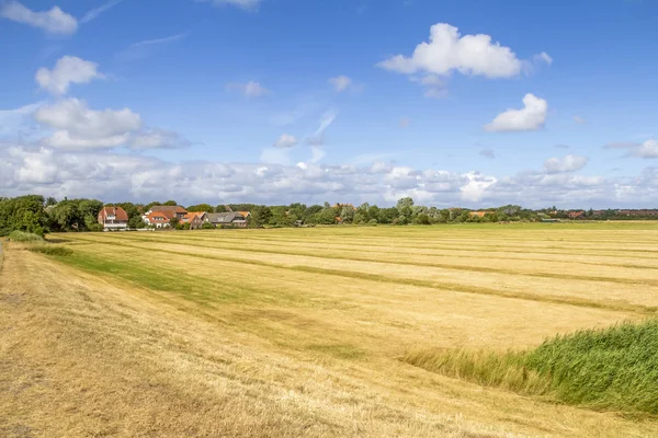 Spiekeroog in Ostfriesland — Stockfoto