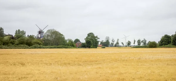 Paisaje rural en Frisia Oriental — Foto de Stock