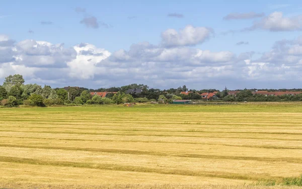 Spiekeroog ve východní Frisii — Stock fotografie