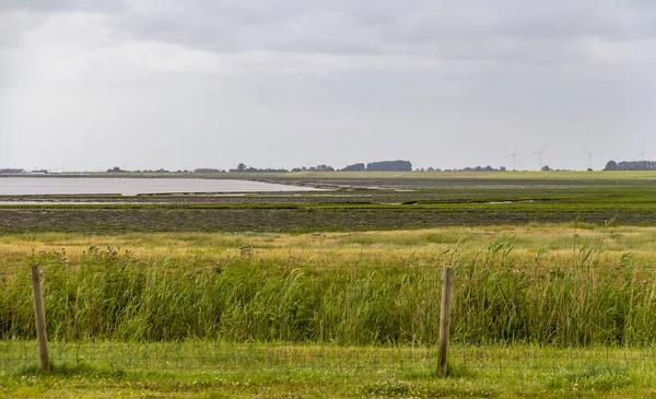 Kustlandschap in Oost-Friesland — Stockfoto