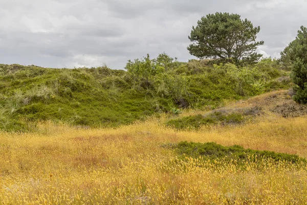 Spiekeroog ve východní Frisii — Stock fotografie