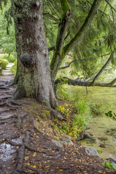 Rund um den lac de gerardmer in frankreich — Stockfoto