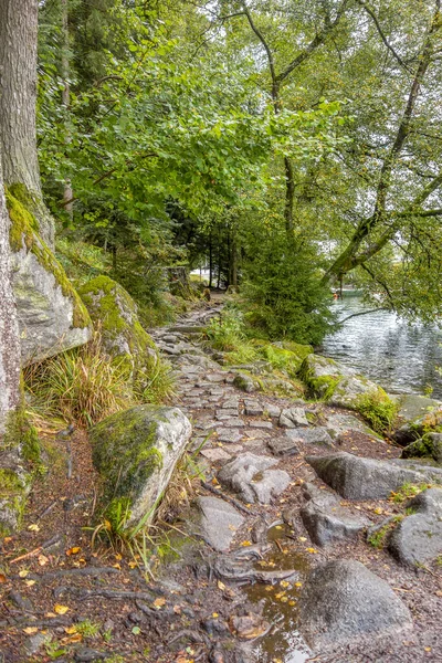 Cerca de Lac de Gerardmer en Francia —  Fotos de Stock