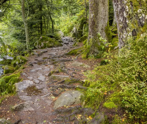 Around Lac de Gerardmer in France — ストック写真