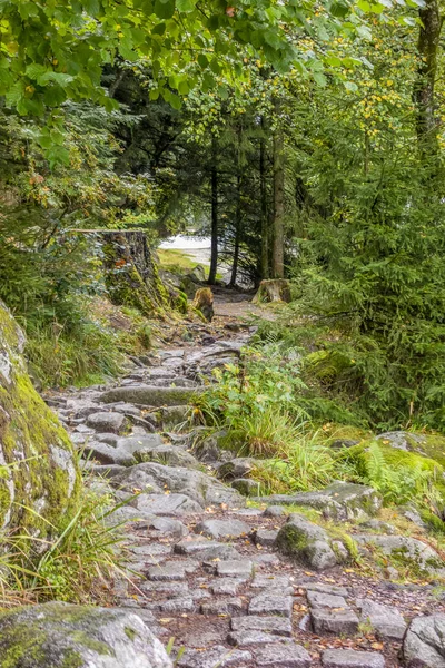 Rund um den lac de gerardmer in frankreich — Stockfoto