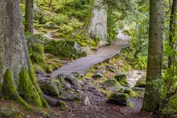 Idyllisch Voetpad Rond Gerardmer Frankrijk Een Gemeente Het Franse Departement — Stockfoto