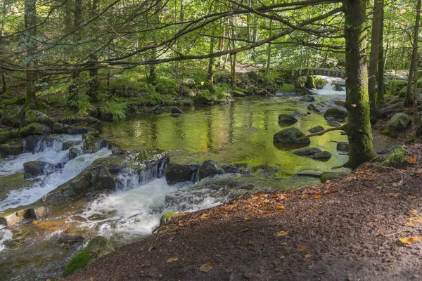 Paysages Forestiers Autour Rivière Vologne Près Gérardmer Dans Les Vosges — Photo