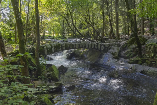 Paisaje Forestal Alrededor Pequeño Puente Histórico Piedra Río Vologne Cerca — Foto de Stock