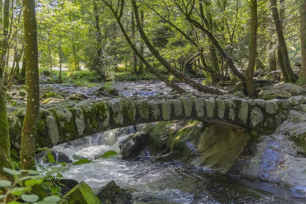 Paesaggio Boschivo Intorno Piccolo Ponte Storico Pietra Sul Fiume Vologne — Foto Stock