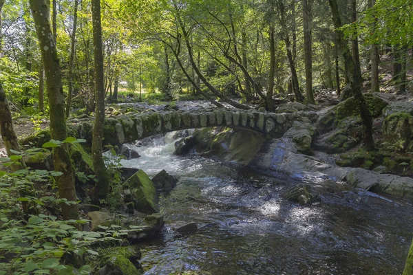 Paisagem Florestal Torno Uma Pequena Ponte Pedra Histórica Rio Vologne — Fotografia de Stock