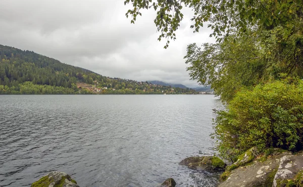 Waterside Scenery Gerardmer France Commune Vosges Department Grand Est Northeastern — ストック写真