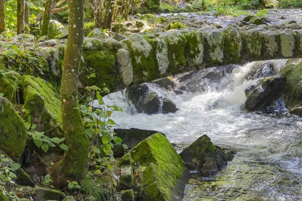 Waldlandschaft Eine Kleine Historische Steinbrücke Fluss Vologne Bei Gerardmer Den — Stockfoto