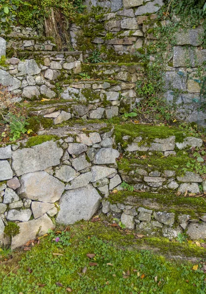 Idylliczna Sceneria Ogrodu Pobliżu Gerardmer Gminy Departamencie Wogezów Grand Est — Zdjęcie stockowe