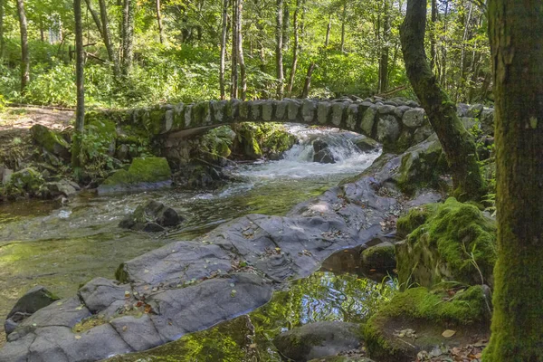 Лесной Пейзаж Вокруг Небольшого Исторического Каменного Моста Реке Волонь Возле — стоковое фото