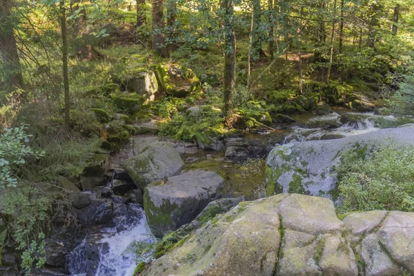 Paisagem Florestal Torno Rio Vologne Perto Gerardmer Nas Montanhas Vosges — Fotografia de Stock