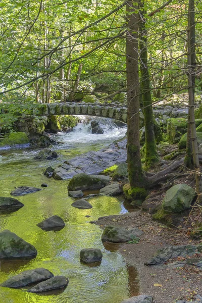 Waldlandschaft Eine Kleine Historische Steinbrücke Fluss Vologne Bei Gerardmer Den — Stockfoto
