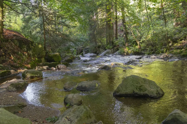 Paysages Forestiers Autour Rivière Vologne Près Gérardmer Dans Les Vosges — Photo