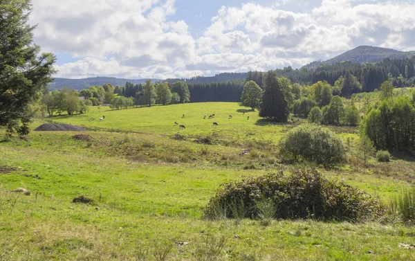 Ειδυλλιακό Αγροτικό Τοπίο Στην Οροσειρά Vosges Της Γαλλίας — Φωτογραφία Αρχείου