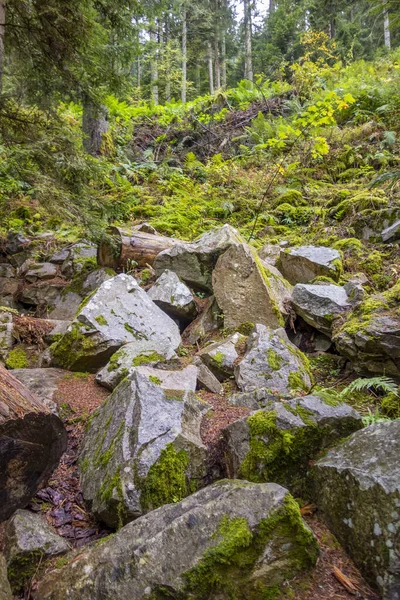 Természetes Táj Körül Gerardmer Franciaországban Egy Kommuna Vosges Megyében Grand — Stock Fotó