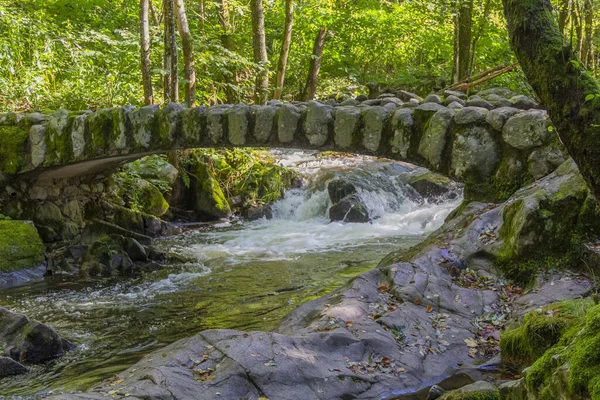 Forest Scenery Small Historic Stone Bridge Vologne River Gerardmer Vosges — Stock Photo, Image