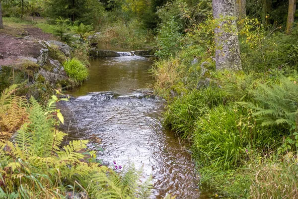 Paysage Idyllique Dans Petit Ruisseau Des Vosges — Photo
