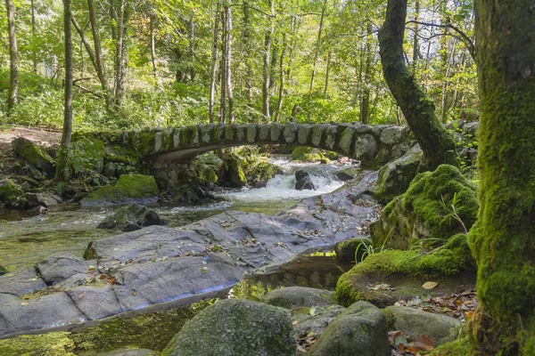Lesní Scenérie Kolem Malého Historického Kamenného Mostu Řeky Vologne Gerardmeru — Stock fotografie