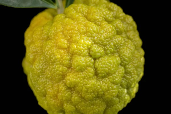 Hrubý Citron Ovoce Detailní Tmavé Záda — Stock fotografie