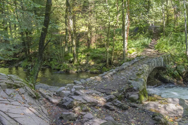 Paysage Forestier Autour Petit Pont Historique Pierre Rivière Vologne Près — Photo