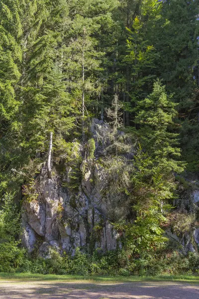 Vosges Dağları Ndaki Gerardmer Yakınlarındaki Vologne Nehri Etrafındaki Orman Manzarası — Stok fotoğraf