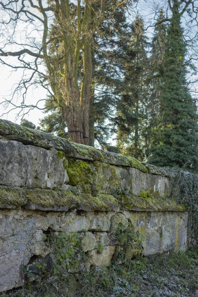 Stary Kamienny Mur Widziany Mieście Południowych Niemczech Nazwie Waldenburg Wieczorem — Zdjęcie stockowe