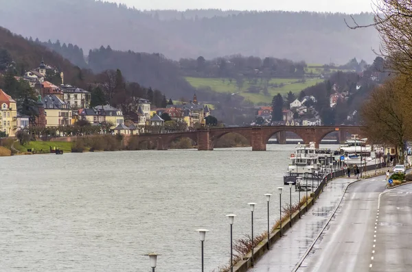 Landskap Vid Floden Neckar Heidelberg Tyskland — Stockfoto