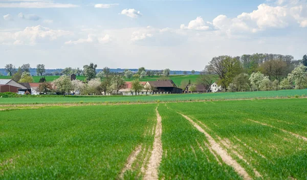 Pequena Aldeia Rural Idílica Sul Alemanha Primavera — Fotografia de Stock