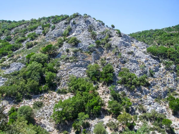 ギリシャのスポーデス諸島の一つであるスキアトスの岩の多い丘の風景 — ストック写真