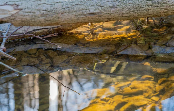 Nahaufnahme Landschaft Einem Kleinen Fluss Süddeutschland Abend — Stockfoto