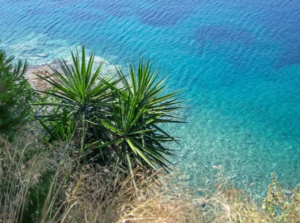 ギリシャのスポーラデス諸島の一つであるスキアトス島の高角度海岸の風景 — ストック写真