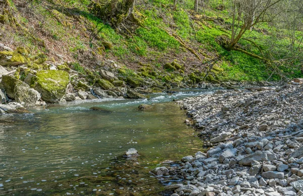 Idilli Táj Dél Németországi Kupfer Folyónál Kora Tavasszal — Stock Fotó