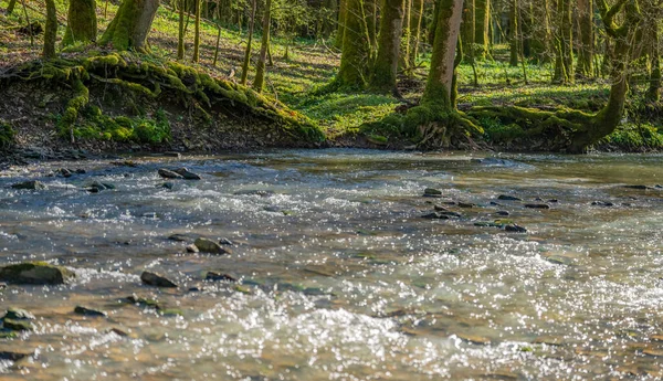 Cenário Idílico Rio Kupfer Sul Alemanha Início Primavera — Fotografia de Stock