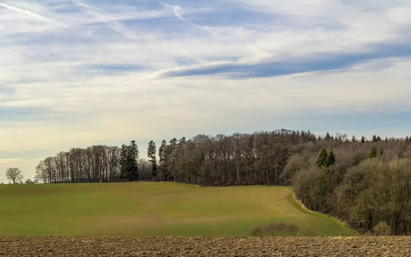 Paysages Agricoles Lisière Une Forêt Dans Sud Allemagne Début Printemps — Photo
