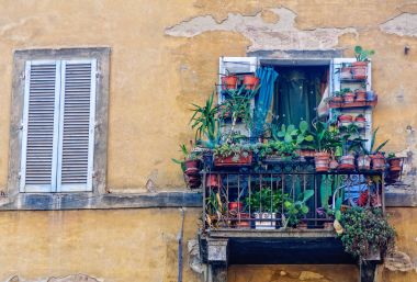 Kentsel ormanda - Siena