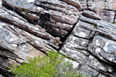 Antik çatlaklar-Grampians
