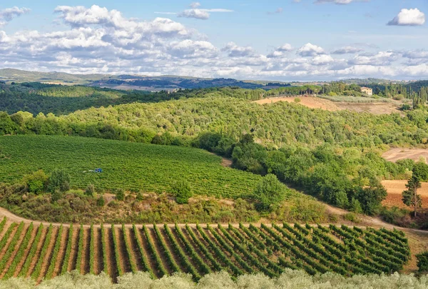 Vista desde la pared - Monteriggioni — Foto de Stock