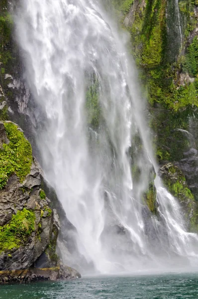 Stirling Falls - Milford Sound — Photo