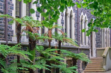 Otago Üniversitesi-Dunedin