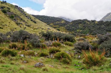 Fahişe buzul - Aoraki doğru