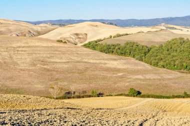 Hills - Crete Senesi haddeleme