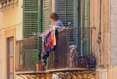 Guard köpek-Palermo