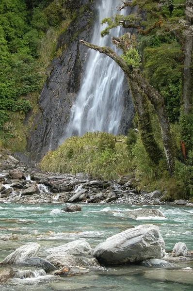 Thunder Creek et Falls - Otago — Photo